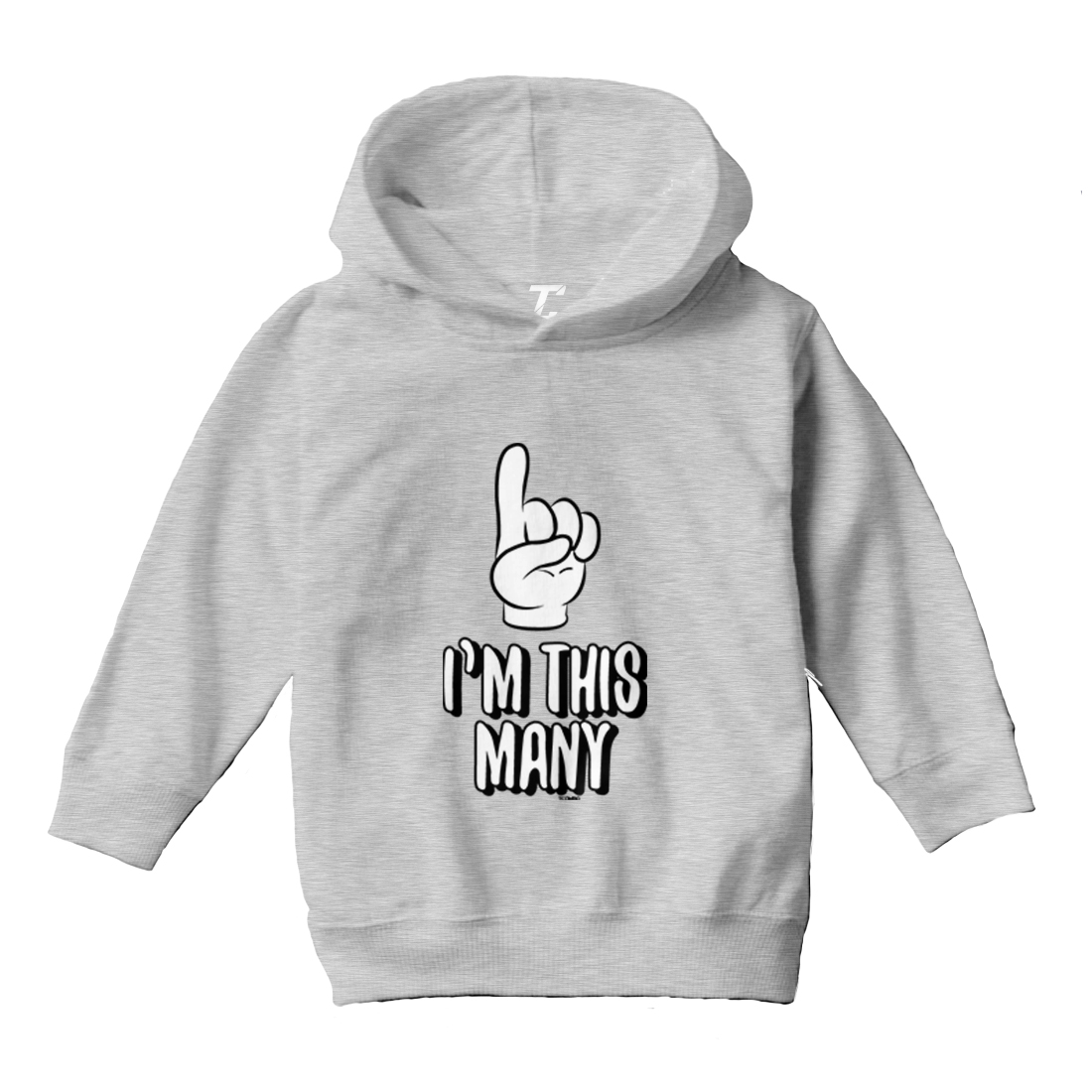I'm This Many 1 - One Year Old Birthday Celebrate Toddler/Youth Hoodie - Picture 6 of 12
