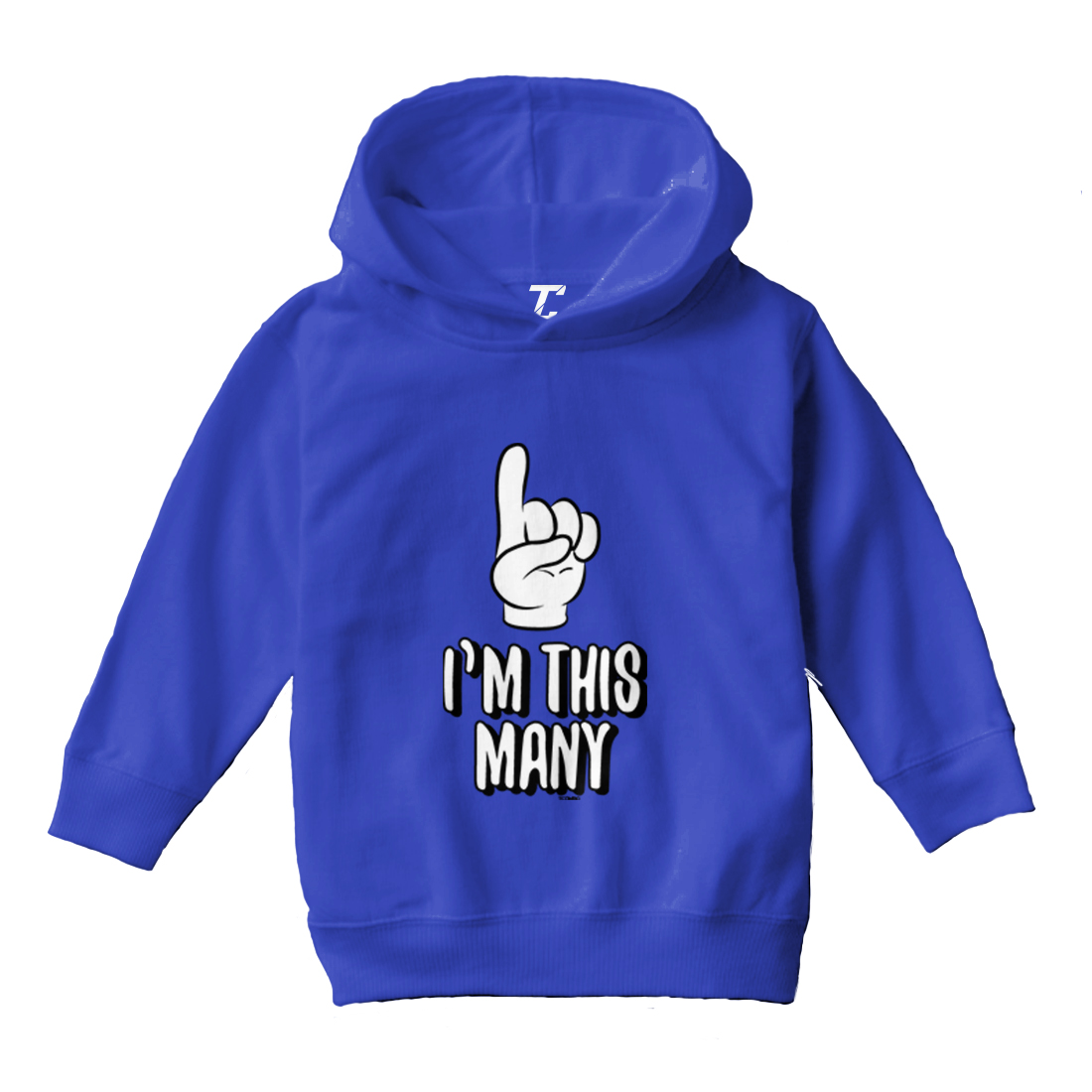 I'm This Many 1 - One Year Old Birthday Celebrate Toddler/Youth Hoodie - Picture 11 of 12