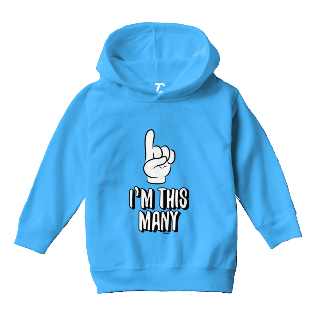 I'm This Many 1 - One Year Old Birthday Celebrate Toddler/Youth Hoodie - Picture 12 of 12