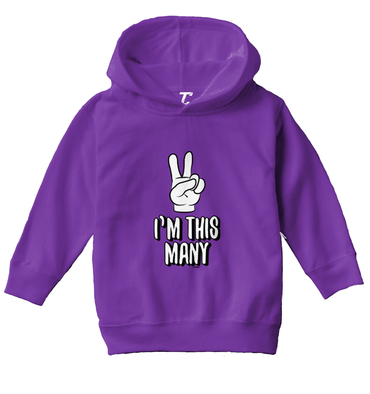 I'm This Many 2 - Two Year Old Second Birthday Party Toddler/Youth Hoodie - Picture 9 of 12