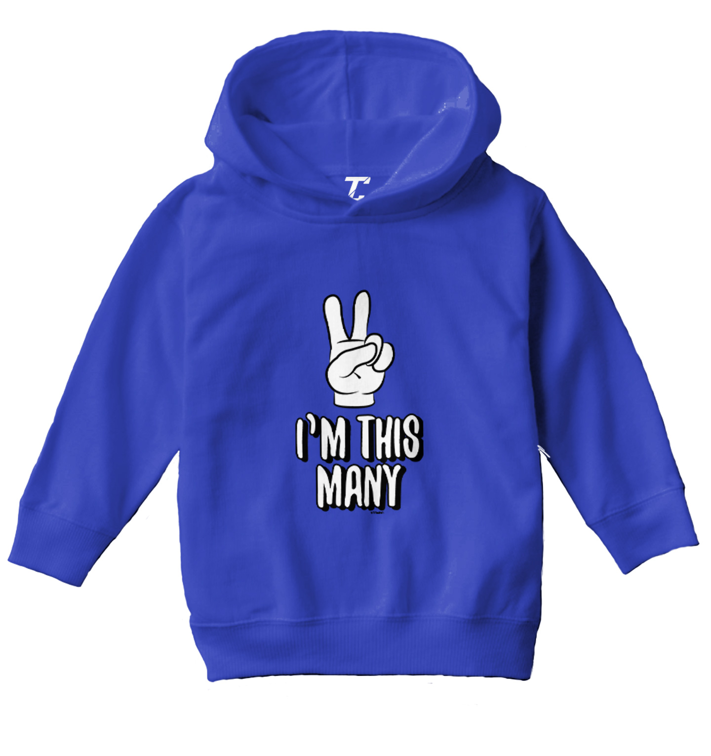 I'm This Many 2 - Two Year Old Second Birthday Party Toddler/Youth Hoodie - Picture 11 of 12