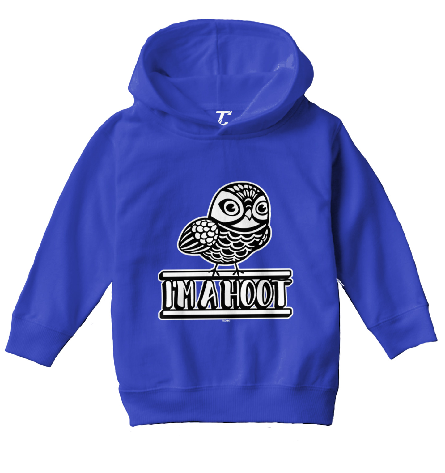 I'm A Hoot - Cute Funny Owl Pun Hilarious Animal Lover Toddler/Youth Hoodie - Picture 11 of 12