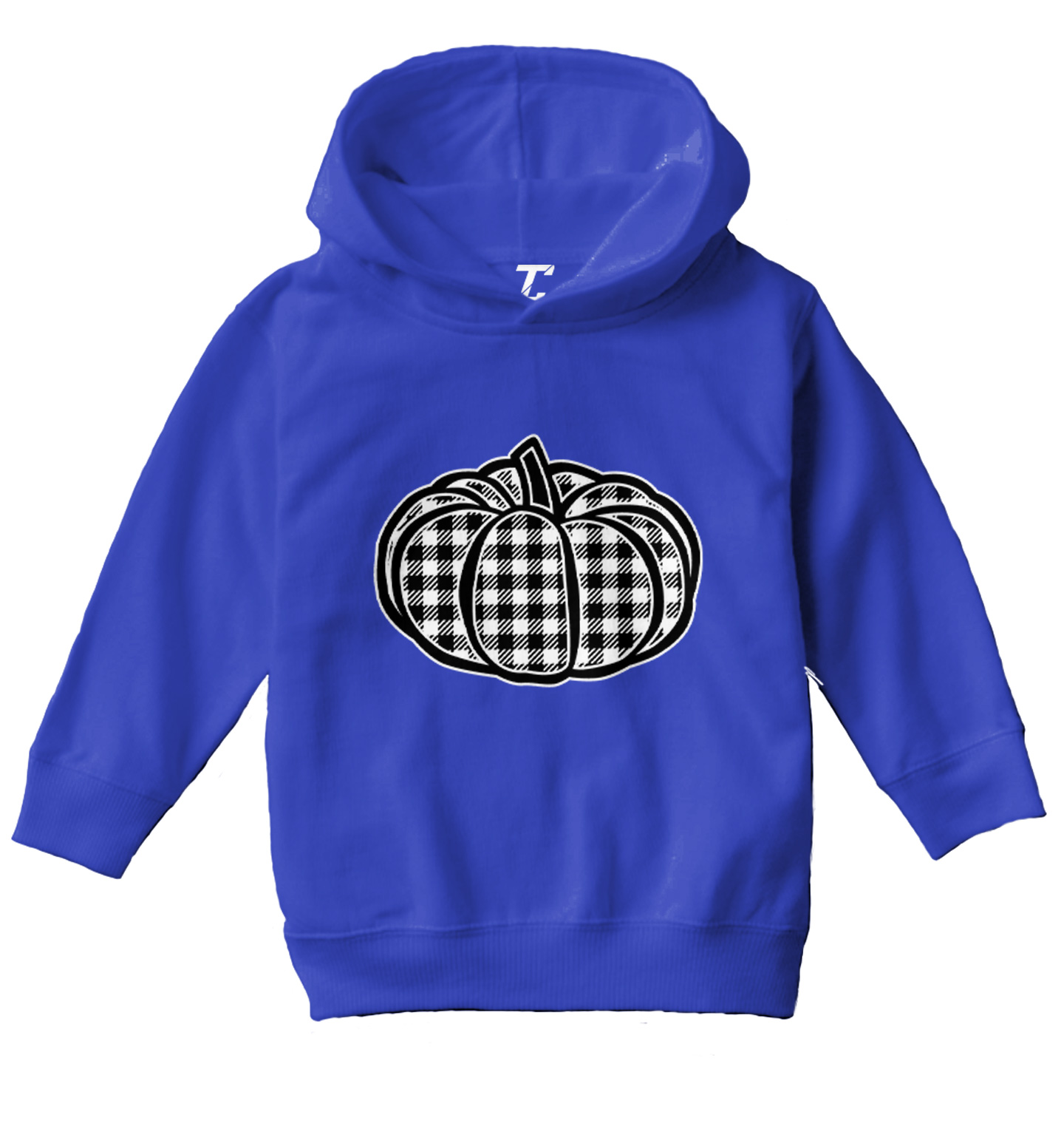 Plaid Pumpkin - Patch Picking Autumn Halloween Cute Toddler/Youth Hoodie - Picture 11 of 12