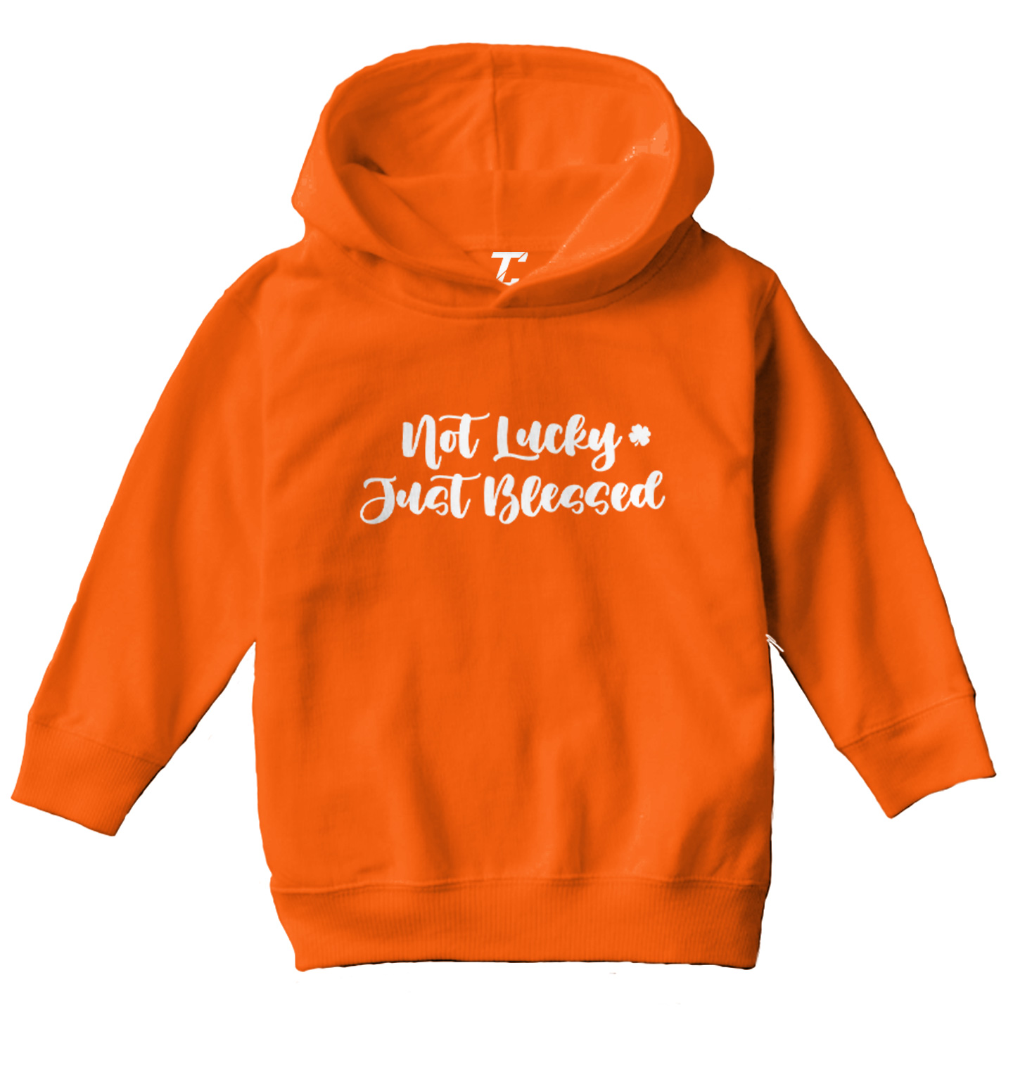 Not Lucky Just Blessed - 4 Leaf Clover St. Patrick Toddler/Youth Hoodie - Picture 8 of 12