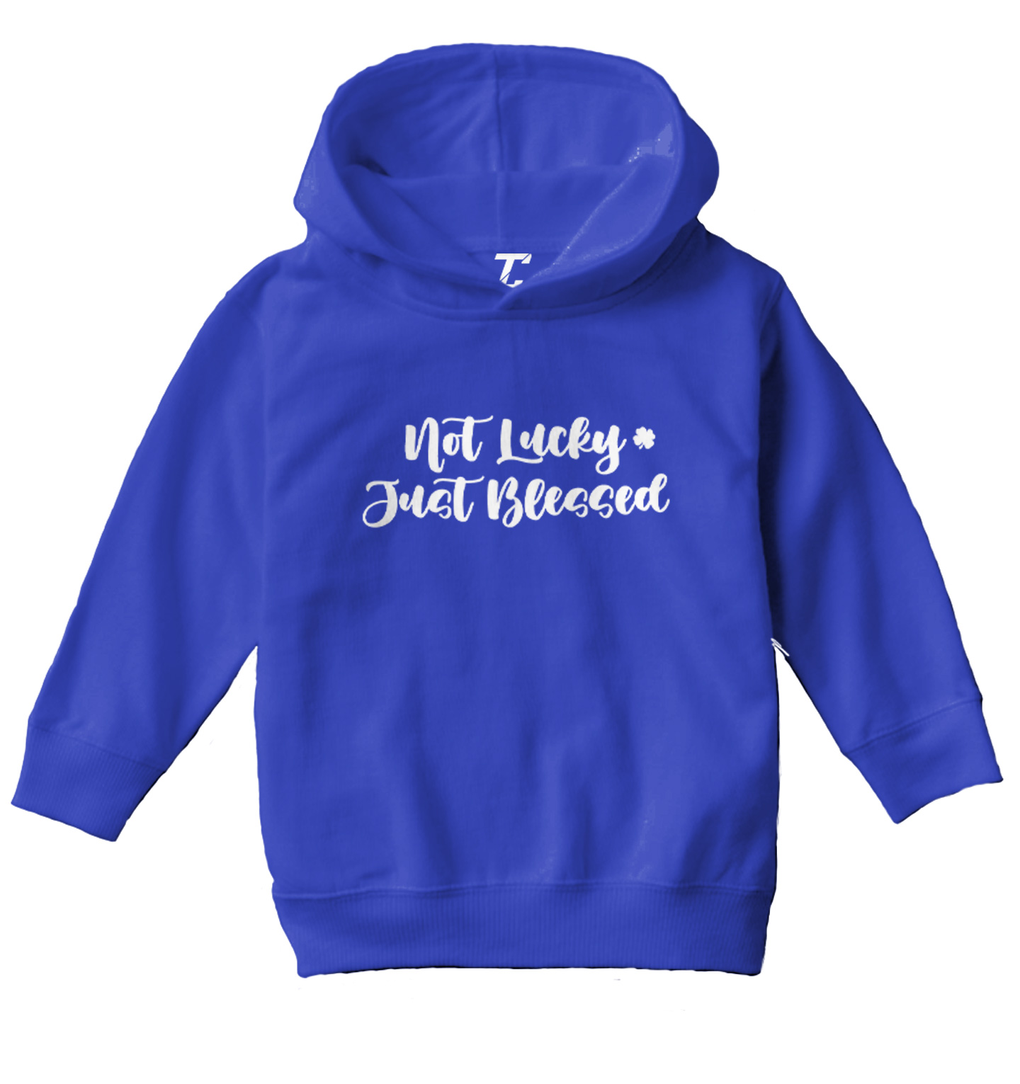 Not Lucky Just Blessed - 4 Leaf Clover St. Patrick Toddler/Youth Hoodie - Picture 11 of 12
