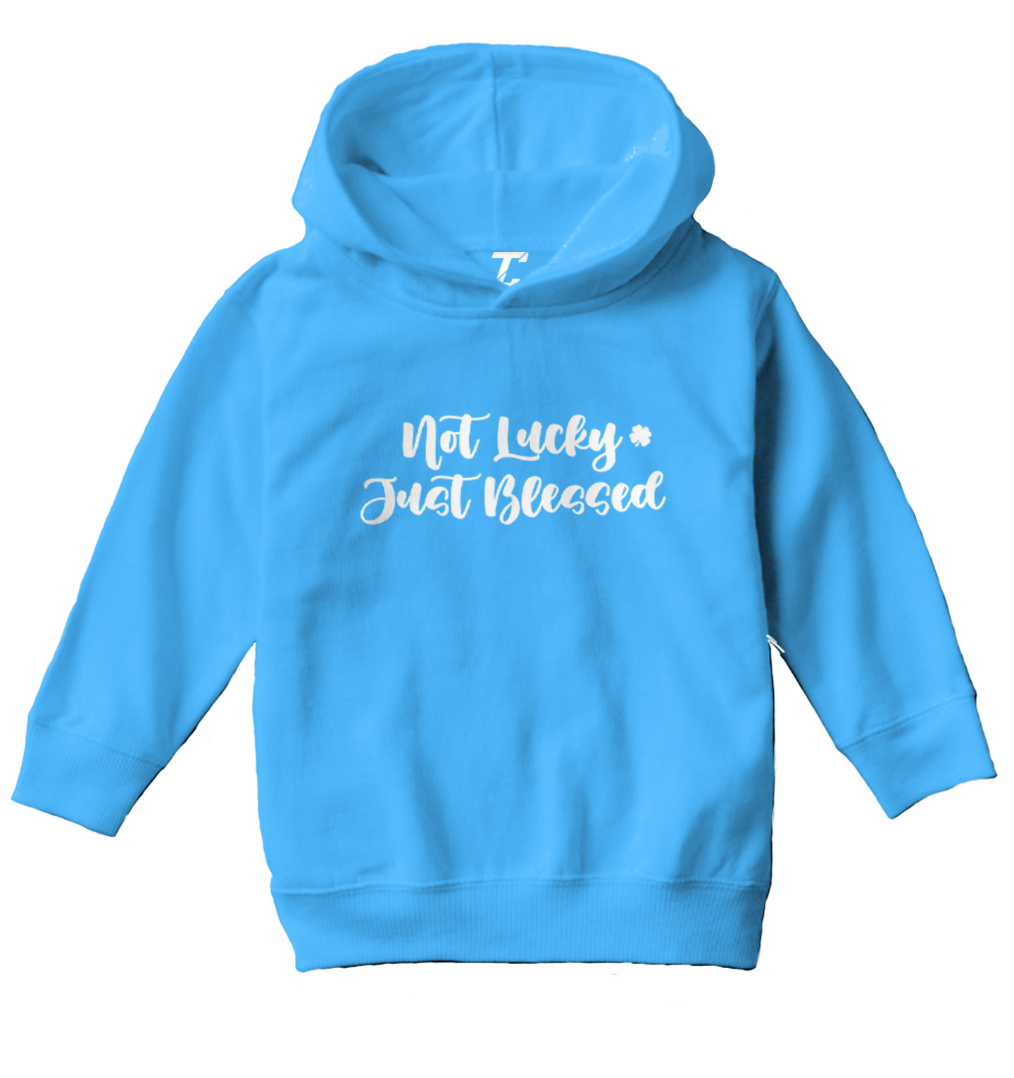 Not Lucky Just Blessed - 4 Leaf Clover St. Patrick Toddler/Youth Hoodie - Picture 12 of 12